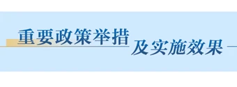 重要政策舉措及實施效果